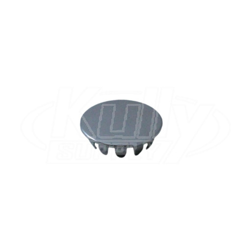 Sloan DV-21 Plug Button