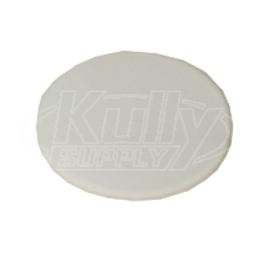 Sloan G-106 Slip Disc