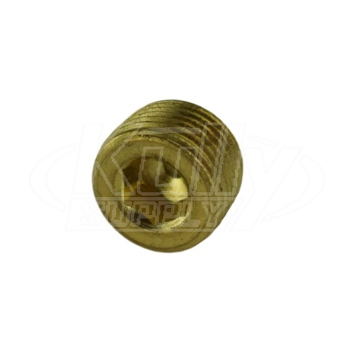 Bradley 169-043 Pipe Plug 3/8" NPT