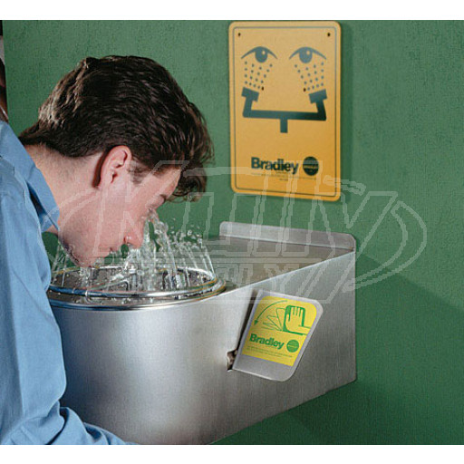 Bradley S19-220BF Barrier-Free Wall-Mounted Eye/Face Wash (with Wraparound Skirt)