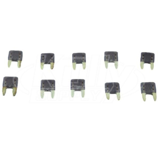 Acorn 0713-060-000 3 Amp 32 Volt Fuse (Violet) (10 Pack)