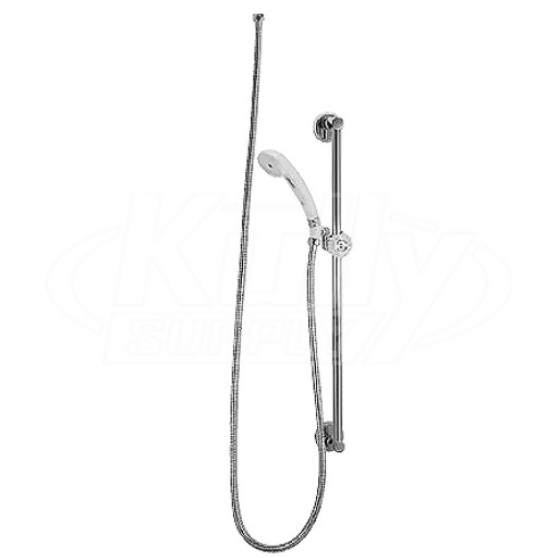 Chicago 151-ACP Hand & Wall Shower Fitting
