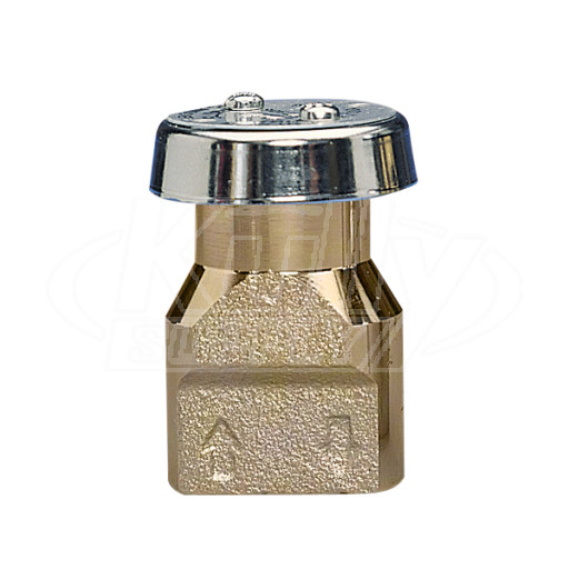 WattsN388 1/4  Vacuum Breaker 1/4" - Lead Free