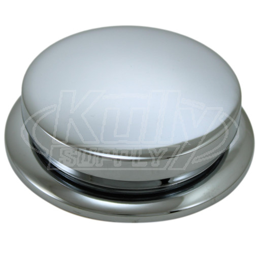 Halsey Taylor 99000C Button Assembly