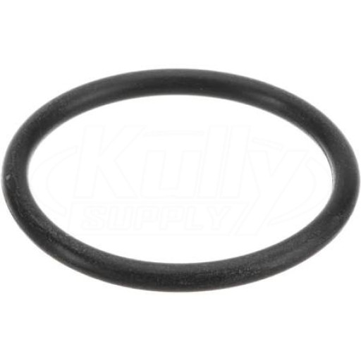 Fisher 73568 O-Ring Spout