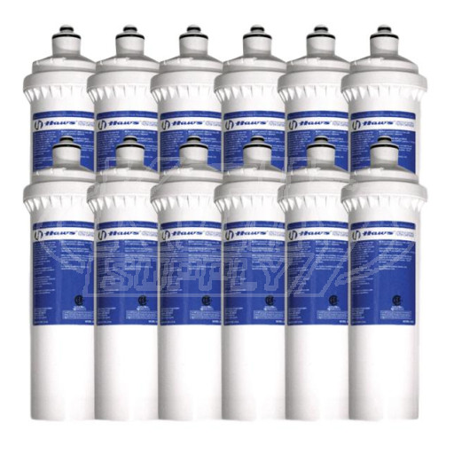 Haws 6428-C 12PK Drinking Fountain Replacement Filter-12 Pack