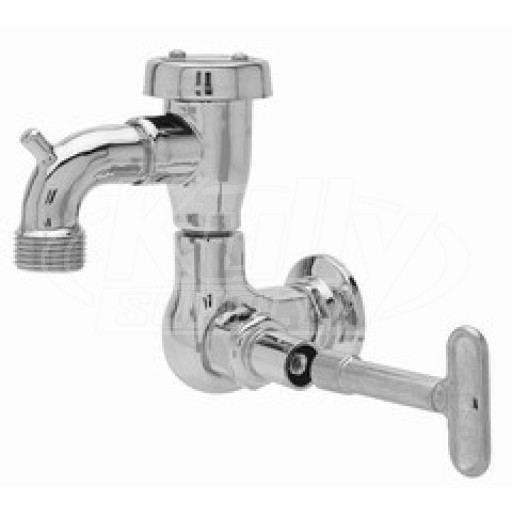 Fisher 29548 Faucet