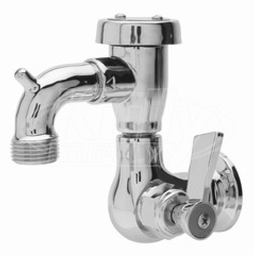 Fisher 29556 Faucet 