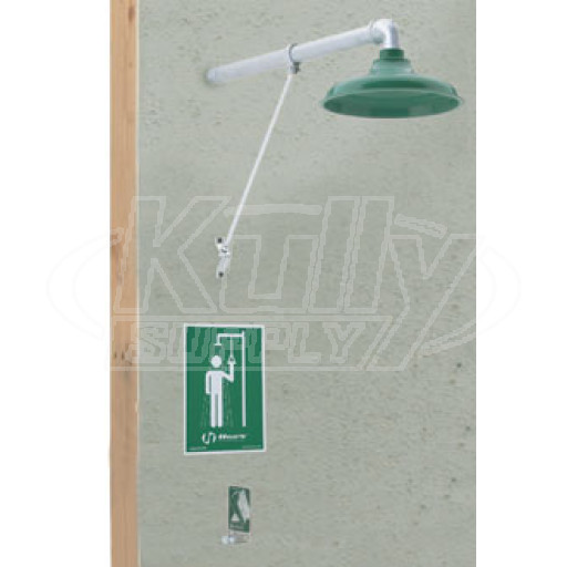 Haws 8111FP Wall-Mounted Freeze-Resistant Drench Shower