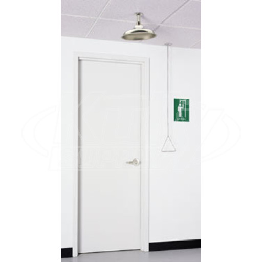 Haws 8163 Over-the-Door Drench Shower (with Stainless Steel Showerhead and Pull Rod)