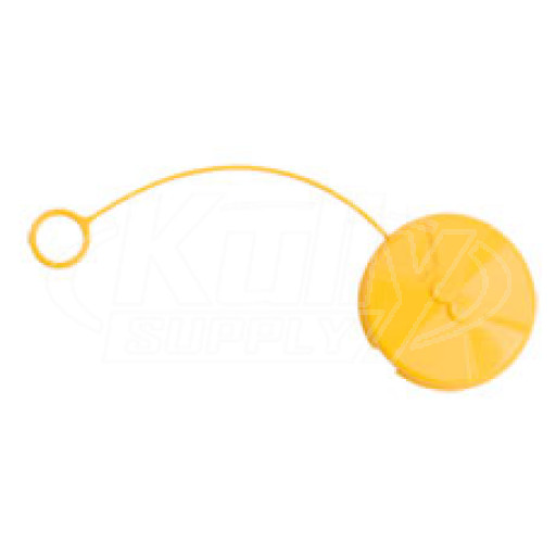 Haws 9091 Eye/Face Wash Dust Cover (for Axion MSR)