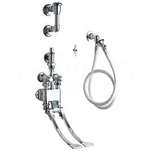 Chicago 910-GCP Wall Mounted Pedal Valve Bed Pan Cleaner