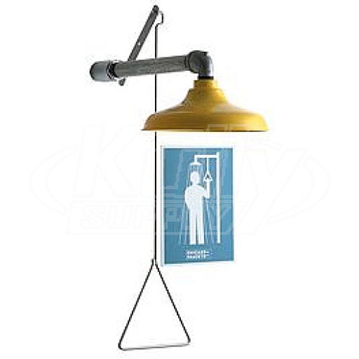 Chicago 9100-NF Drench Shower