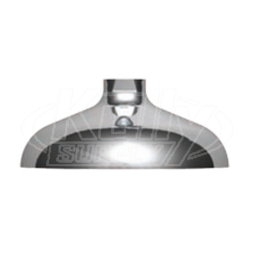 Guardian AP450-016 Brass Drench Showerhead