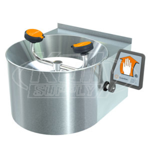 Guardian G1753 Wall-Mounted Eye/Face Wash (with Stainless Steel Receptor and Stainless Steel Skirt)