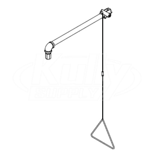 Bradley S19-120SSBF Corrison-Resistant Stainless Steel Barrier-Free Drench Shower
