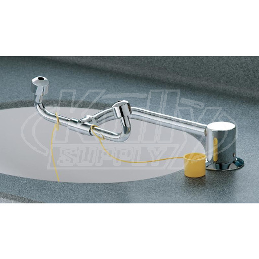 Bradley S19-270C Swing-Activated Eyewash