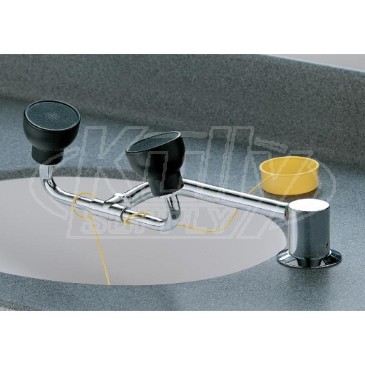 Bradley S19-270E Swing-Activated Eye/Face Wash (Discontinued)
