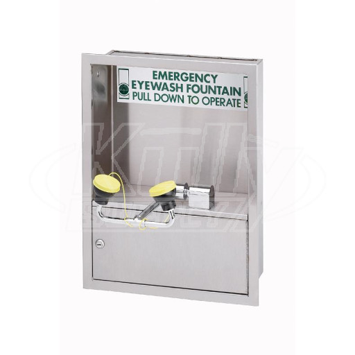 Bradley S19-270JC Swing-Down Cabinet-Mounted Eye/Face Wash