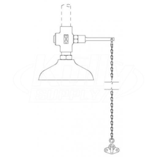 Speakman SE-201 Drench Shower