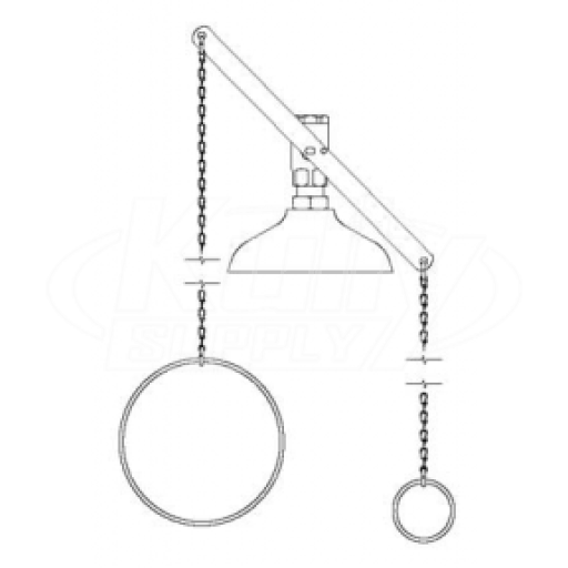 Speakman SE-216 Drench Shower