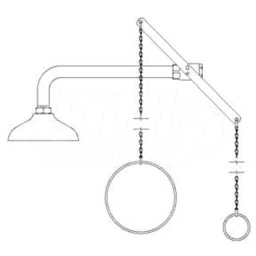 Speakman SE-226 Drench Shower