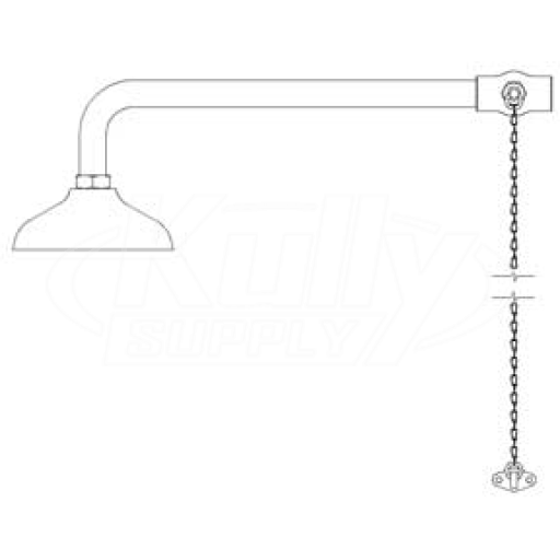 Speakman SE-231 Drench Shower