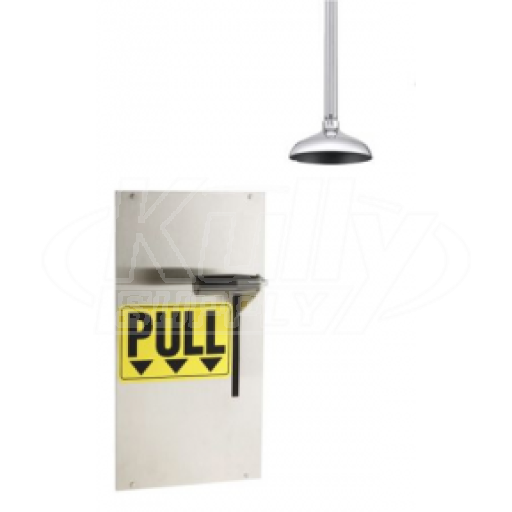 Speakman SE-238-SM Drench Shower