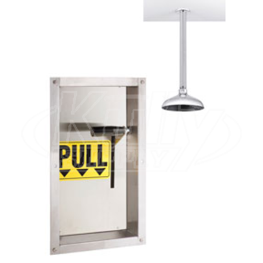 Speakman SE-238 Drench Shower