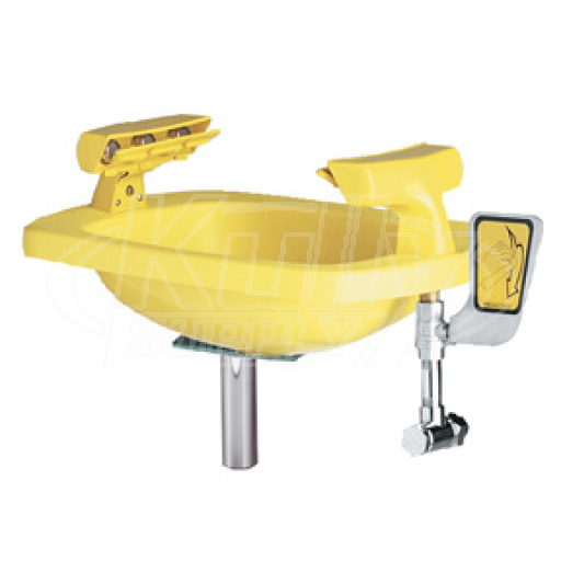 Speakman SE-401 Wall-Mounted Eye/Face Wash (with Plastic Receptor)