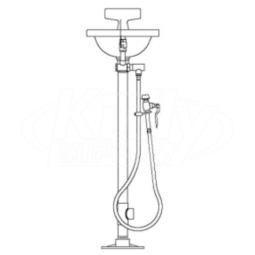 Speakman SE-430 Pedestal-Mounted Eye/Face Wash