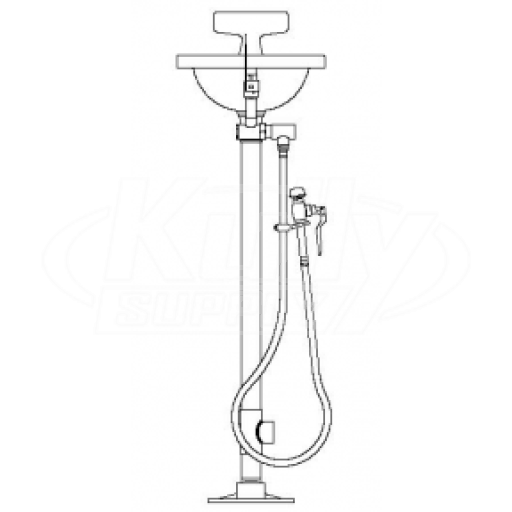 Speakman SE-431 Pedestal-Mounted Eye/Face Wash