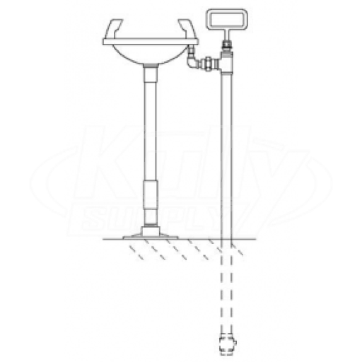 Speakman SE-441 Pedestal-Mounted Eye/Face Wash (with Rectangular Plastic Receptor)