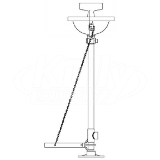 Speakman SE-480 Pedestal-Mounted Eye/Face Wash (with Rectangular Stainless Steel Receptor)