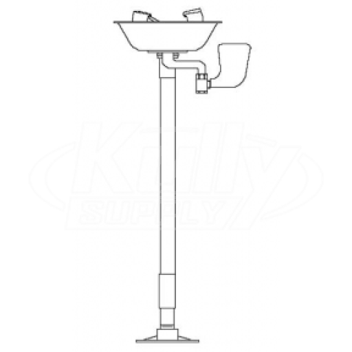 Speakman SE-491-SS Pedestal-Mounted Stainless Steel Eye/Face Wash (with Stainless Steel Receptor)
