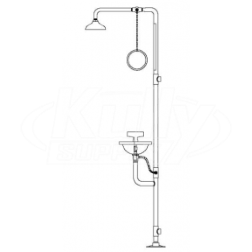 Speakman SE-602 Combination Drench Shower & Eye/Face Wash (with Impeller Action Showerhead)