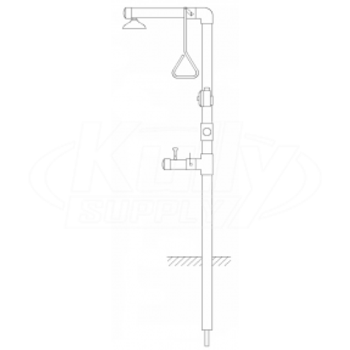 Speakman SE-6100-C1D2 Freeze-Protected Combination Drench Shower & Eye/Face Wash