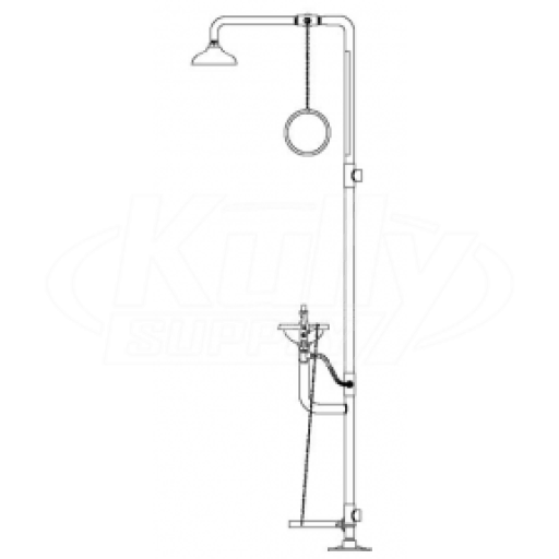 Speakman SE-610 Combination Drench Shower & Eyewash (with Rectangular Stainless Steel Receptor and Impeller Action Showerhead)