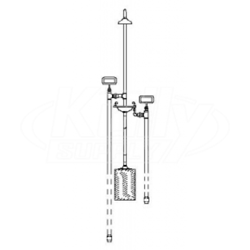 Speakman SE-619 Frostproof Combination Drench Shower & Eyewash (with Impeller Action Showerhead) (Discontinued)