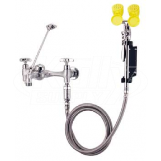 Speakman SEF-9000-FM Wall-Mounted Service Sink Eyewash (with Drench Hose)