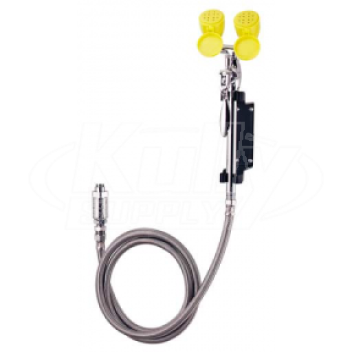 Speakman SEF-9200 Wall-Mounted Service Sink Eyewash (with Drench Hose)