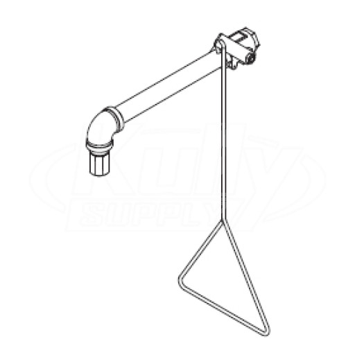 Bradley S19-120SS Corrosion-Resistant Stainless Steel Drench Shower