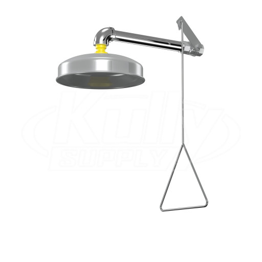 Bradley S19-120T Brass Drench Shower