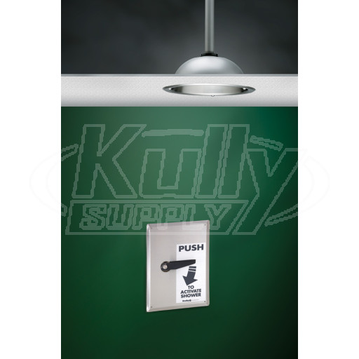 Bradley S19-125SFMBF Recessed Barrier-Free Drench Shower