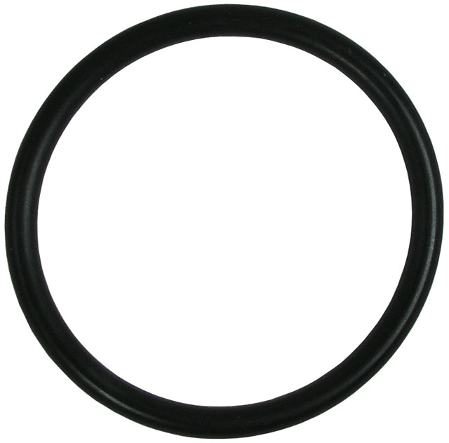 Sloan H-553 Tailpiece O-Ring