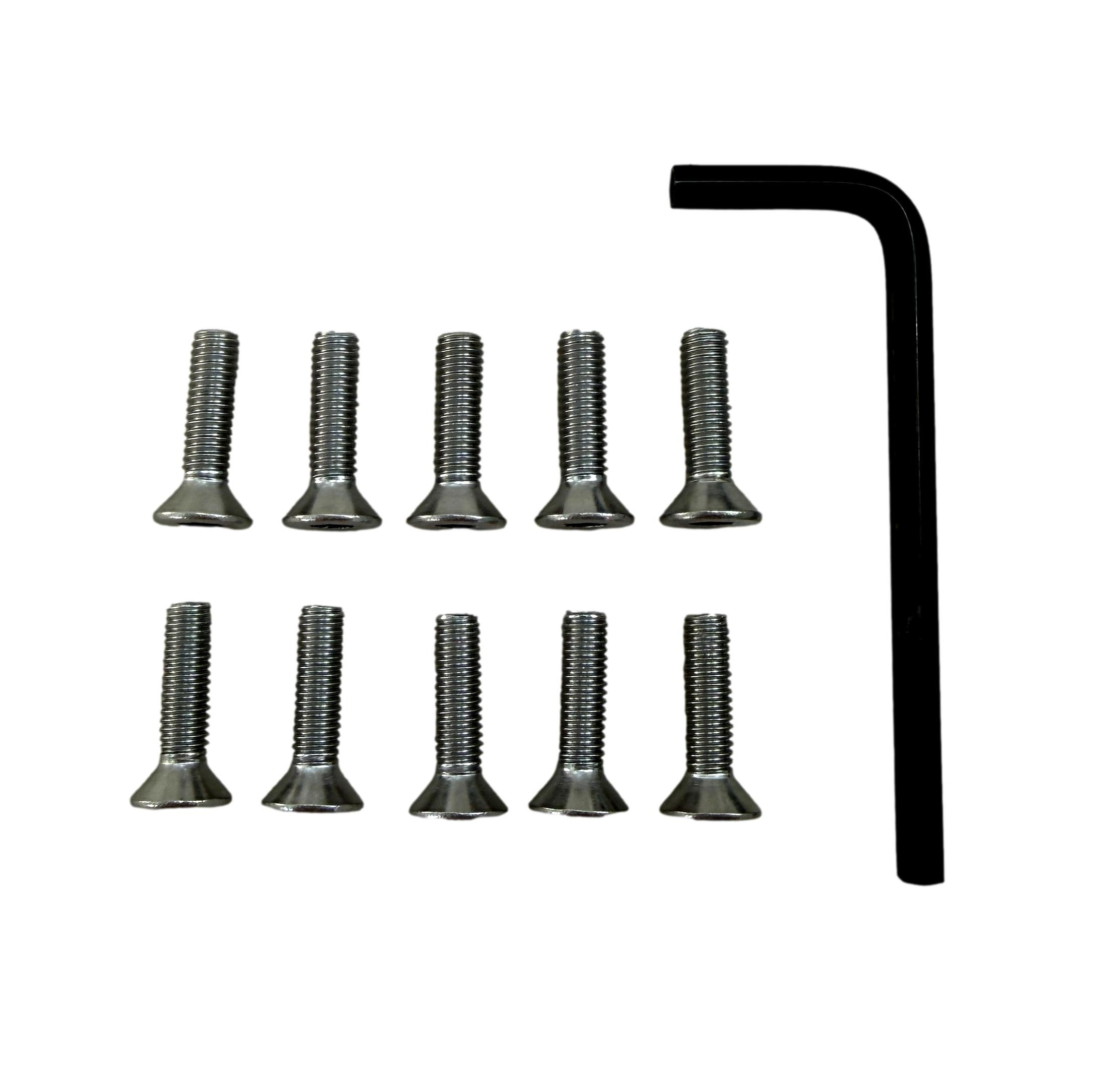 Acorn 0152-006-001 10-Pack Stainless Steel Screws