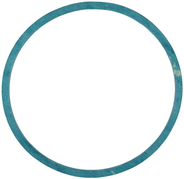 Symmons UH-3A Insert Gasket For Showerhead (Discontinued)