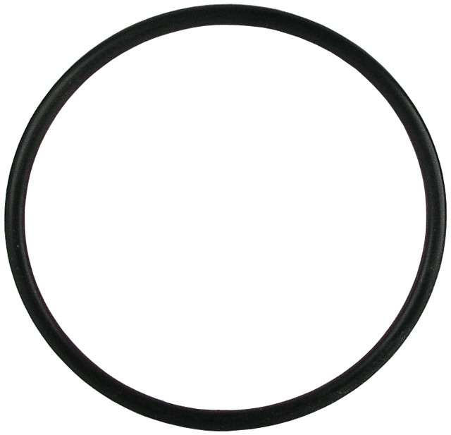 Bradley 269-031 O-Ring
