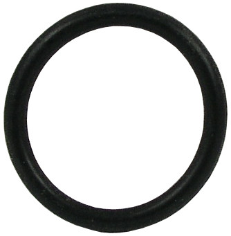 Chicago 1-328JKABNF Cartridge Part O Ring 