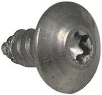 Oasis 031875-003 Screw, Truss Hd Tapping Torx